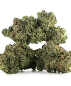 All Gas OG (LSO)