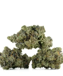 Pink Wagyu by Pluto Craft Cannabis