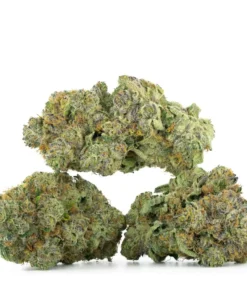Bubblegum Zkittlez
