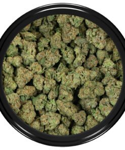 Forum Cut Girl Scout Cookies (Popcorn)