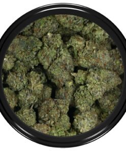 Alternative view of Greasy Death Bubba