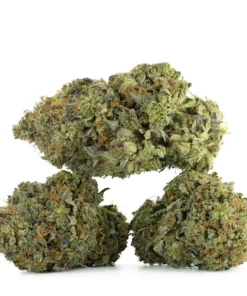 Greasy Death Bubba