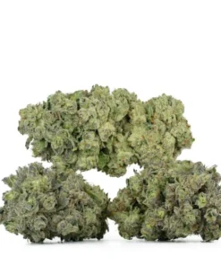 Kali Mist