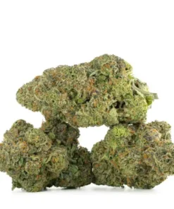 Tangie Goji