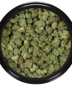 WiFi OG (Popcorn)